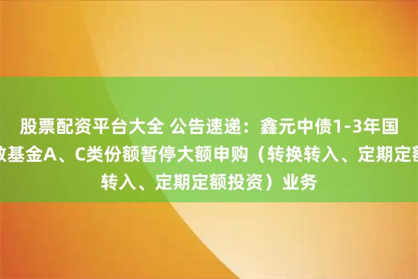 股票配资平台大全 公告速递：鑫元中债1-3年国开行债券指数基金A、C类份额暂停大额申购（转换转入、定期定额投资）业务