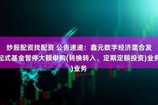 炒股配资找配资 公告速递：鑫元数字经济混合发起式基金暂停大额申购(转换转入、定期定额投资)业务